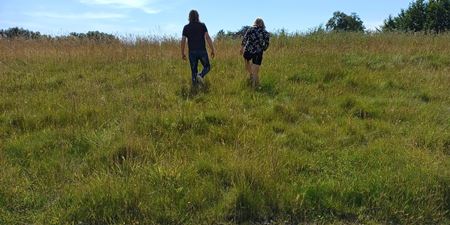 Vingevandring. Foto: Frederikssund Kommune.jpg