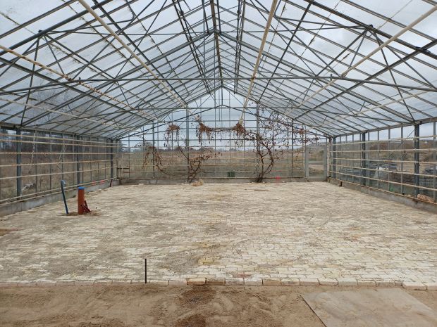 Billede af drivhuset med ny gulvbelægning