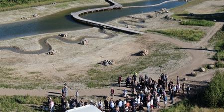 Dronefoto af indvielse af Solsikkeøen ved Vinge. Foto: Frederikssund Kommune