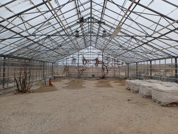 Billede af drivhuset, der er klargjort til gulvlægning