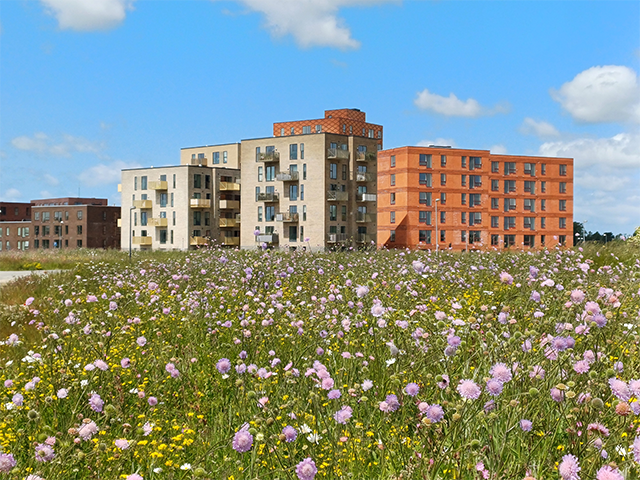Billede af Vinges centrum med lejligheder og vilde blomster